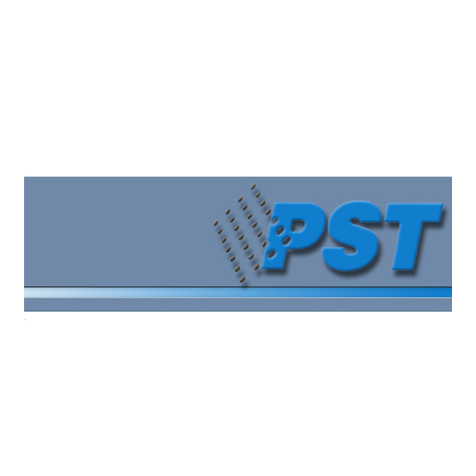 PST Corporation [31621]